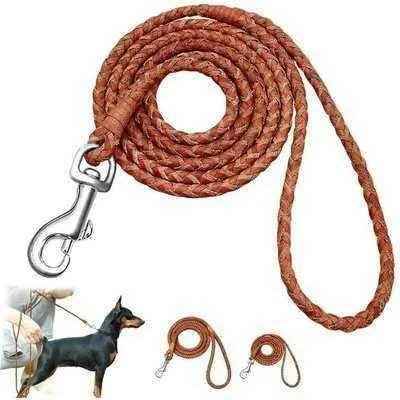 Stylish Dog Lead 🐾