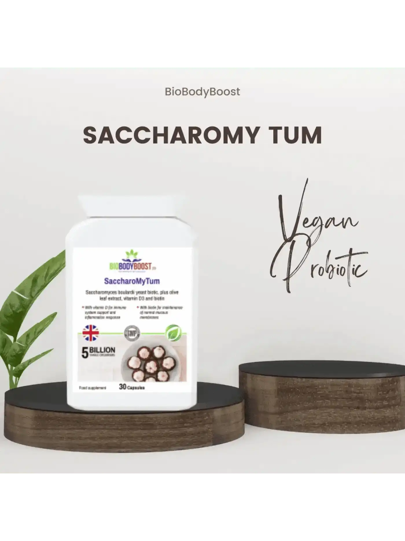 BioBodyBoost Plant-Based Travel Supplements Bundle-3