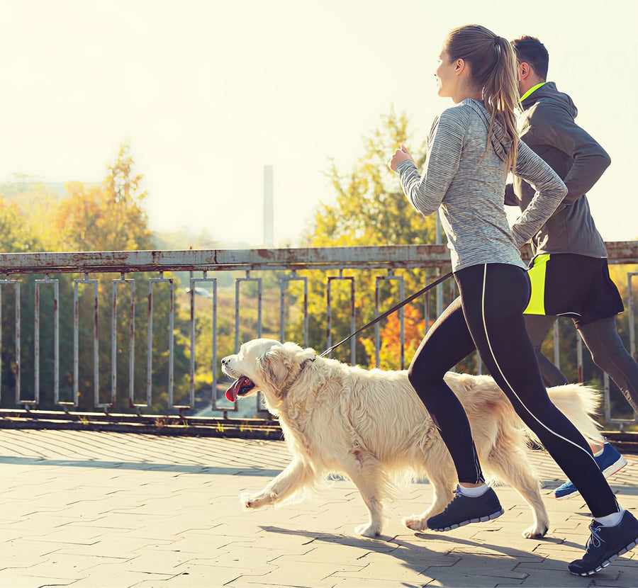 Finally a fitness plan that includes my dog!