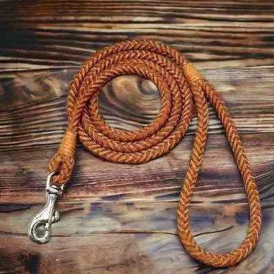 Stylish  Dog Lead 🐾
