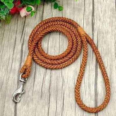 Stylish  Dog Lead 🐾